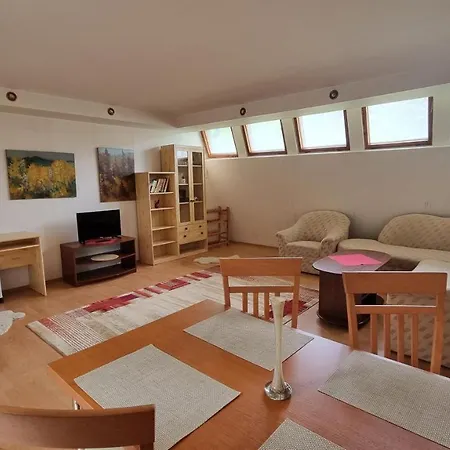 Деревянный коттедж Chata Rauschenbach
